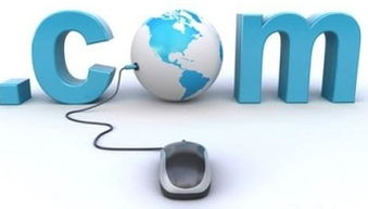 从源头到呈现 网络技术服务如何高效获取网站文章